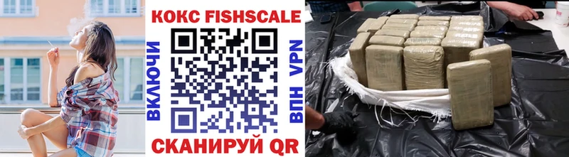 Кокаин FishScale  shop состав  Судак 