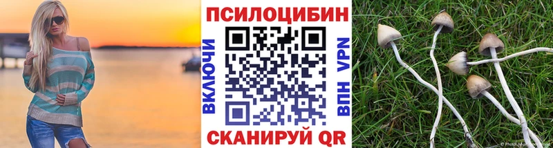 МЕГА вход Судак Галлюциногенные грибы MAGIC MUSHROOMS