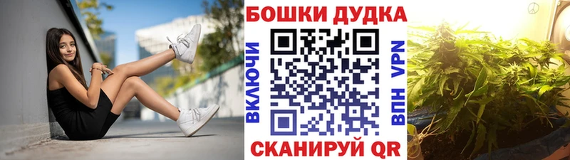 Канабис гибрид  Судак 